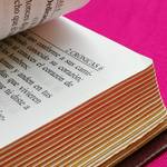 Gemeindechronist gesucht Abbildung eines alten Buches