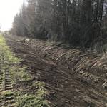 2021_03_03_Göbitz3.jpg 2021_03_03_Göbitz3.jpg