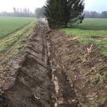 2021_03_03_Göbitz1.jpg 2021_03_03_Göbitz1.jpg