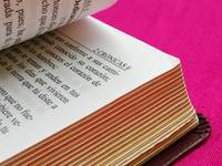 Abbildung eines alten Buches