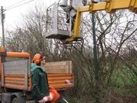 Ausastungsarbeiten in Göbitz (Foto: Maria Barsi) [(c) Gemeinde Elsteraue]