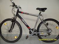 Herrenfahrrad PEGASUS Avank Aluminium [(c) Ronny Hoffmann]