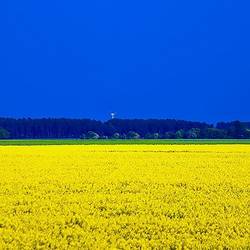 Unterstützung für die Ukraine Unterstützung für die Ukraine