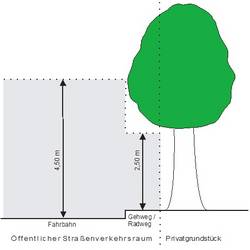 Zurückschneiden von überhängenden Anpflanzungen Zurückschneiden von überhängenden Anpflanzungen