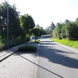 Anwohnerinformation zur Baumpflege Wohngebiet Tr&ouml;glitz West