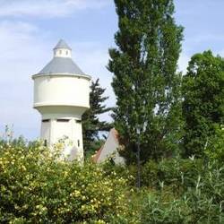 ehemaliger Wasserturm Reuden, 2003 umgebaut zur Vogelnist- und -brutstätte ehemaliger Wasserturm Reuden, 2003 umgebaut zur Vogelnist- und -brutstätte