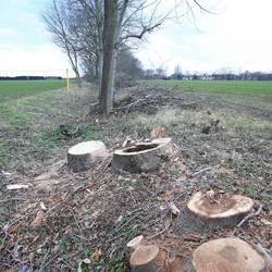 Graben Göbitz (Foto: Corina Trummer) Graben Göbitz (Foto: Corina Trummer)