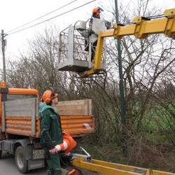 Ausastungsarbeiten in Göbitz (Foto: Maria Barsi) [(c): Gemeinde Elsteraue]