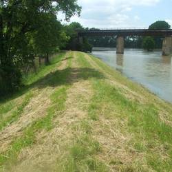 Deich zum Hochwasser 2013 Deich zum Hochwasser 2013