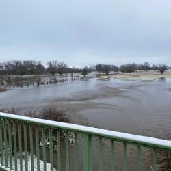 Hochwasser an der Weißen Elster Hochwasser an der Weißen Elster