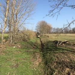 Information zur Baumaßnahme am Graben „Schwennigke“ Information zur Baumaßnahme am Graben „Schwennigke“