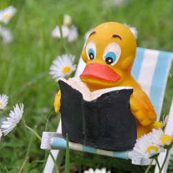 Informationen zur Nutzung des Naturbades Rehmsdorf Informationen zur Nutzung des Naturbades Rehmsdorf